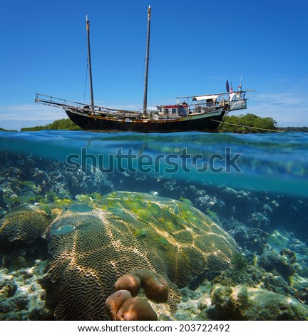 Over-under split view of an old sailing boat stranded on a reef with shoal of tropical fish and coral under the water surface, Caribbean sea