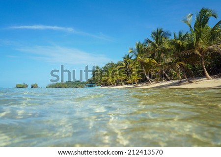 Caribbean beach with coconut trees viewed from the sea surface, Panama, Central America
