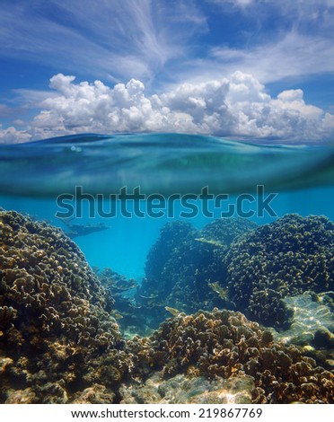 Above and below surface of the Caribbean sea with coral reef underwater and a cloudy blue sky