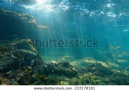 Underwater sunbeams through the water surface viewed from the seabed on a reef of the Caribbean sea, natural scene