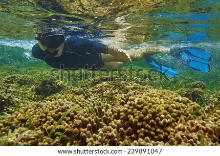 Man snorkeler over coral reef, Bocas del Toro, Panama, Caribbean sea