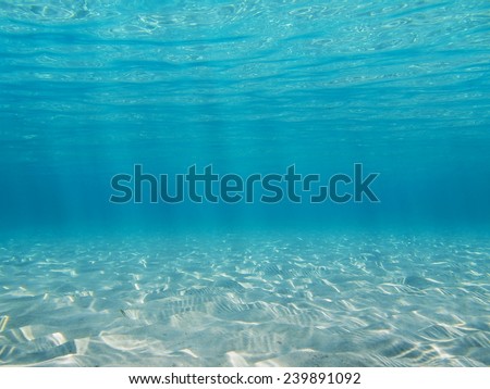 Underwater in the Caribbean sea on a shallow sandy seabed with sunlight through water surface, natural scene