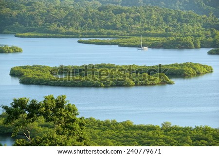 Mangrove island in the archipelago of Bocas del Toro,Caribbean sea, Panama