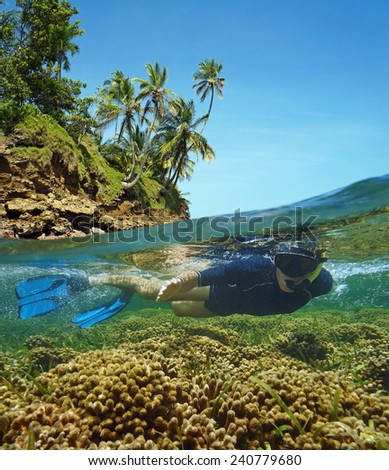 Over-under in the Caribbean sea with a snorkeler underwater in a shallow coral reef and above surface, island shore with coconut trees
