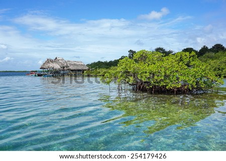 Islet of mangrove tree in the water with a tropical restaurant over the sea in background, Caribbean sea, Panama, Bocas del Toro
