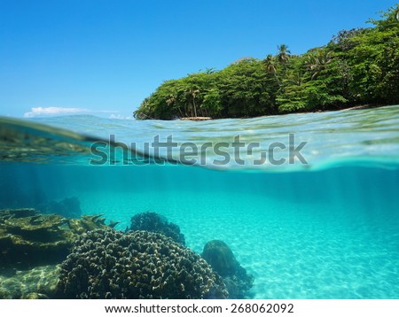 Split view over and under sea surface with lush tropical shore above waterline and corals with sand underwater, Caribbean, Puerto Viejo, Costa Rica