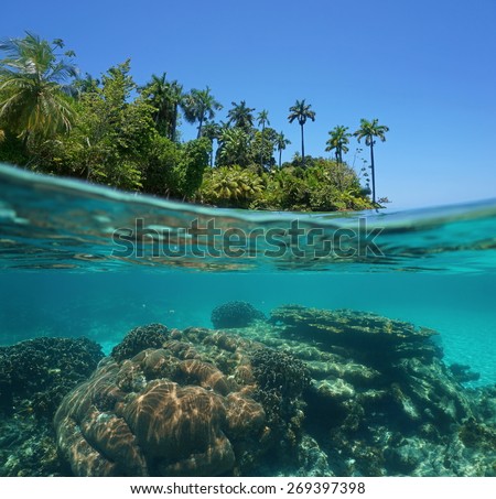 Split shot of a lush tropical island above water surface and coral reef underwater, Caribbean sea, Bocas del Toro, Pana