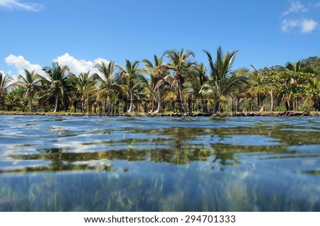 Tropical shore with coconut trees viewed from water surface, Caribbean sea, Panama