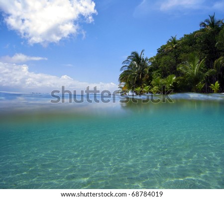 Snorkeling near tropical island in the Caribbean sea, Bocas del Toro, Panama