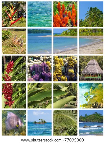 Tropical collage in the archipelago of Bocas del Toro, Caribbean sea, Panama
