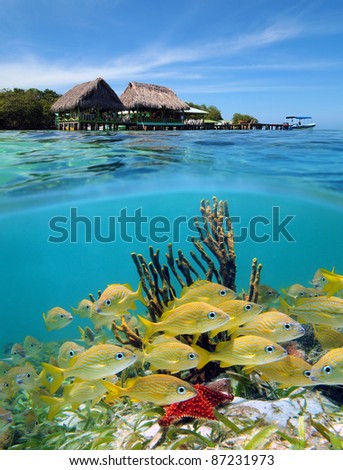 Surface and underwater view in the Caribbean sea with a tropical restaurant over the water and seabed with a shoal of fish, Cayo coral, Bocas del Toro, Panama