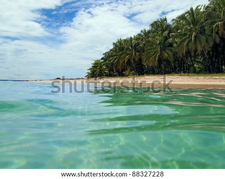 View from the water surface of a sandy beach with tropical vegetation, Caribbean sea, Panama
