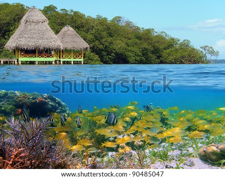 Above and below with thatched cabin over water and coral reef with school of tropical fish underwater, Caribbean sea, Panama