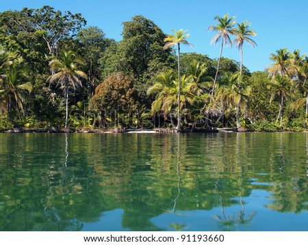 Tropical coast with lush vegetation reflected on water surface of the Caribbean sea, Panama