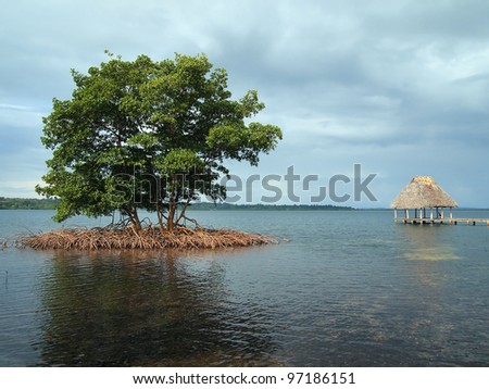 Small islet of mangrove tree with a thatched roof hut over water in background, archipelago of Bocas del Toro, Caribbean sea, Panama