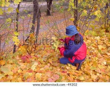 A girl collecting leaves in the park