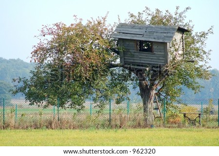 Old tree house