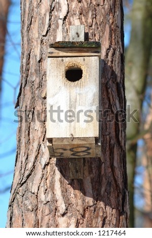 Birds house in a forest