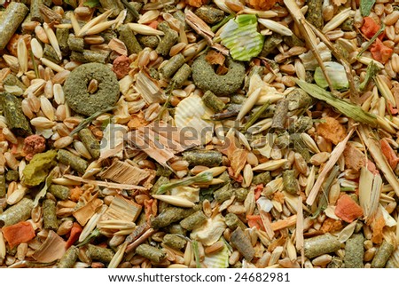 Macro of food for rodents - mice, rats, hamsters
