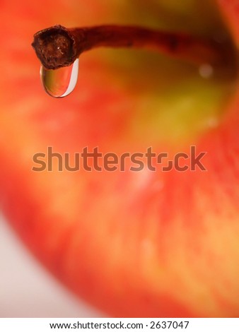 macro of waterdrop on apple stem