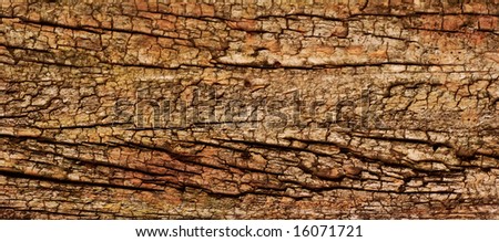 panoramic crop of aged wood