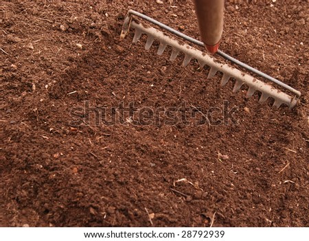 Preparing The Soil