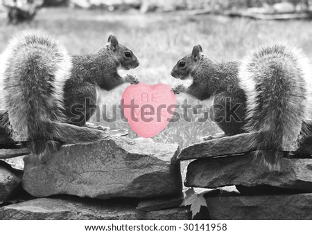squirrels heart
