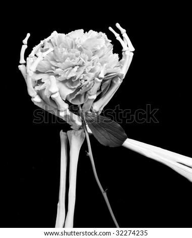 skeletal hands cupping a tree peony