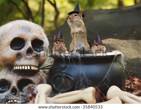 three little chipmunk witches stir up trouble from their cauldron