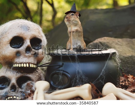 little witch chipmunk stirs up a spell in a cauldron