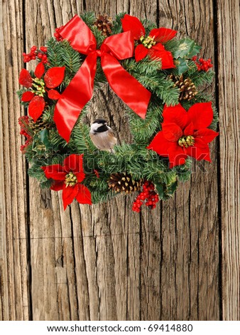 black-capped chickadee sitting in a christmas wreath