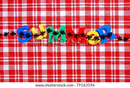 Summer written in colorful plastic letters on a red and white checkered picnic tablecloth, with ants crawling over the letters