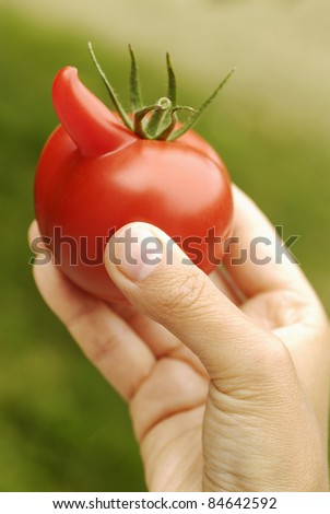 Big nose tomato