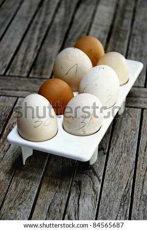 Eggs with hand written dates
