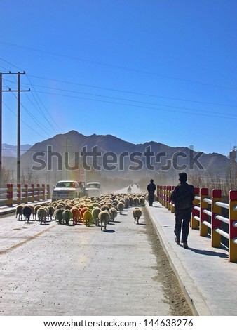 GYANTSE, TIBET-NOVEMBER 15: man with sheep on the road 204 to Shigatse.  November 15, 2004 Gyantse, Tibet
