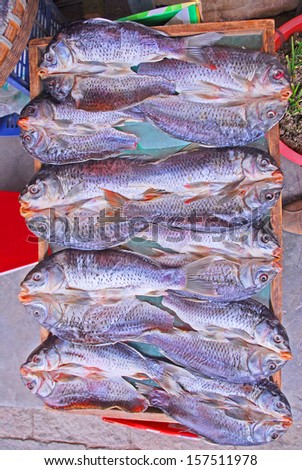 JINXI, SHANGHAI, CHINA Ã¢Â?Â? JANUARY 9: dry fishes for sale in almost any village lane. The ancient village is a Shanghai tourist attraction with 100000 visitors per year. January 9, 2010, Jinxi, China