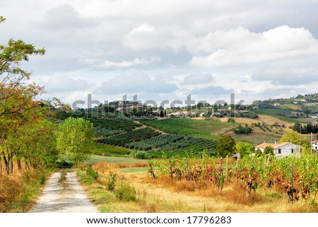 Bertinoro Italy