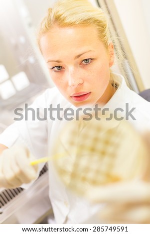 Female life science professional observing cell culture samples on LB agar medium in petri dish.  Scientist grafting bacteria in microbiological analytical laboratory .  Focus on scientist\'s eye.