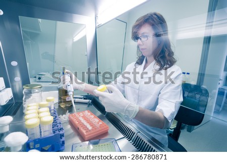 Female life scientist researching in laboratory, pipetting cell culture medium samples in laminar flow. Photo taken from laminar interior.