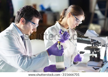 Life scientist researching in laboratory. Focused life science professionals pipetting master mix solution into the PCR 96 well micro plate using multi channel pipette. Healthcare and biotechnology.