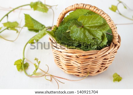 Basket with fresh grape leaves for dolma