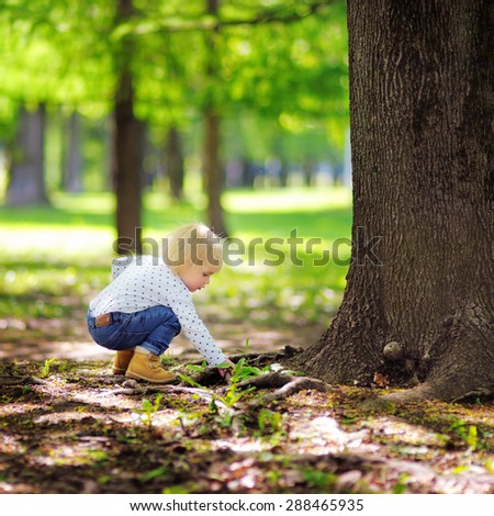 Toddler boy playing in the park at the spring or summer day