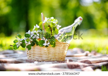 Picnic basket with fruits, flowers and water in the glass bottle