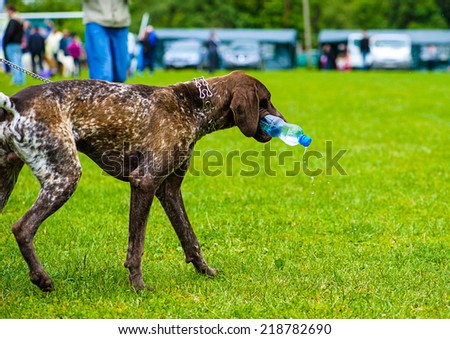 dog with bottle of water