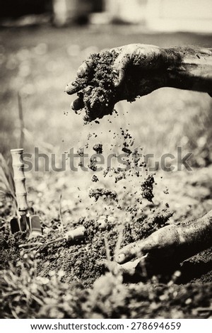 Gardener hands preparing soil for seedling in ground. Black and white