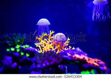 Neon fish Images - Search Images on Everypixel