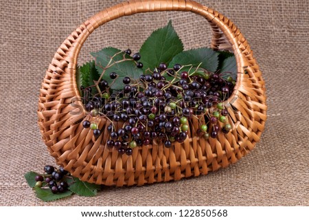 elderberry in basket on jute background