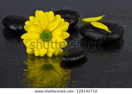 yellow flower with spa stones and water drop