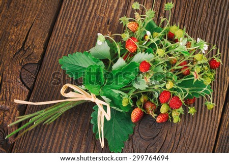 Woodland Strawberry - Wild Strawberry (Fragaria vesca), Alpine Strawberry