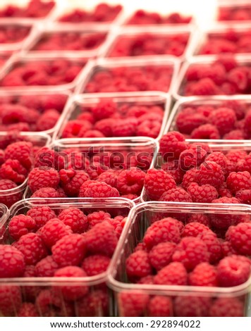 A large raspberry selection is laid out in clear plastic tubs filling the frame. The foods are neatly arranged in rows. There is a warm glow back lighting the fruit.